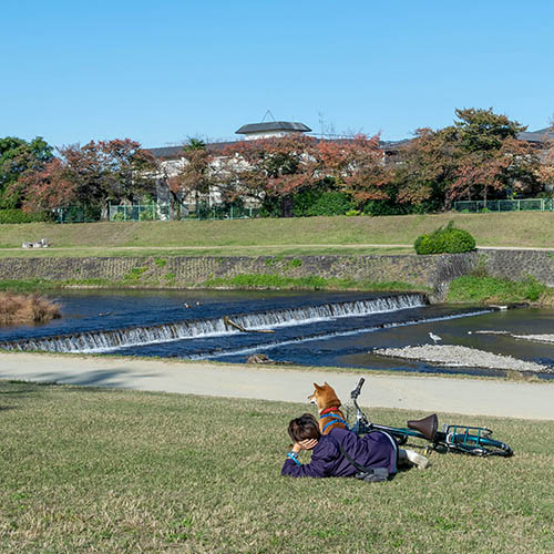 賀茂川河川敷