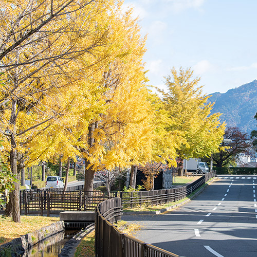 紫明せせらぎ公園