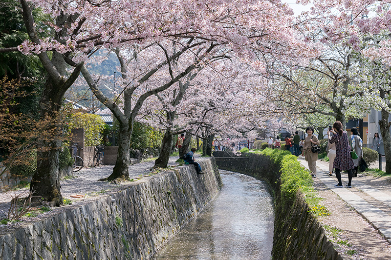 哲学の道の写真_北白川 懐旧の京町家